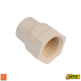 CPVC Threaded Female Adapter (Faucet Socket) - Anton