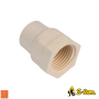 S lon CPVC Threaded Female Adapter (Faucet Socket)