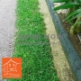 Malaysian Grass Carpet 2 Ft x 5 Ft