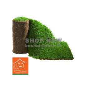 Australian Grass Carpet 2Ft x 5Ft