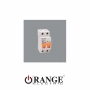 Orange Isolator Sigma 2 Pole 40A C