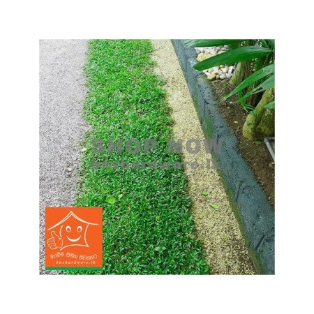 Malaysian Grass Carpet 2 Ft x 5 Ft