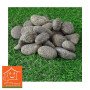 B N S Galaxy Pebbles