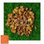 B N S Boralu Stone Pebbles - 1 Kg