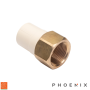 CPVC Female Adapter Brass - Phoenix
