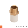 CPVC Male Adapter Brass - Phoenix