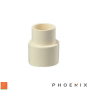CPVC Reducing Socket - Phoenix
